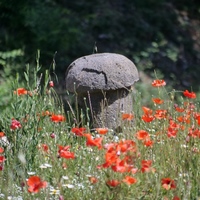 Photo de france - Béziers